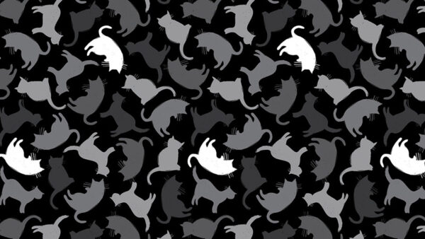 Gatos no Escuro - 50 sombras de miau - Riera Alta